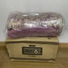 【未使用品】モリリン　毛布　JTM1910 シングルロング150×210㎝