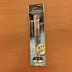 ナカバヤシ Artnavi e・万年筆 中字 黒のサムネイル