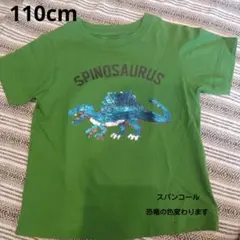 Item thumbnail for item 116fe3b3-6db3-4a78-b10a-04f8a574b5ac