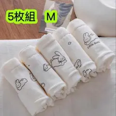 5枚組M 高校生ショーツ ジュニアショーツ 肌着 レディース下着　第240号