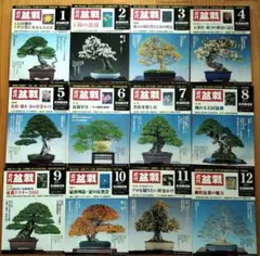 らら様 リクエスト 2点 まとめ商品