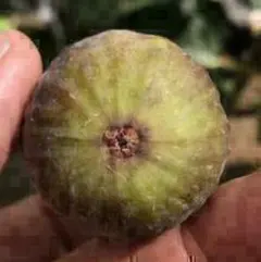 CRAY様 リクエスト 2点 まとめ商品