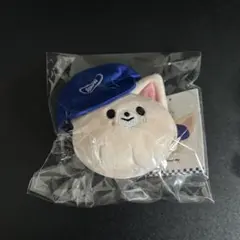 straykids アイエン KARMA ぬいぐるみ キーリング 新品未開封