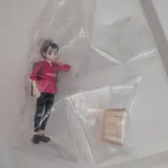 ポケモンスケールワールド　ガラル地方　マサル