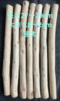 Item thumbnail for item ca68c367-5991-4d33-9064-9287ccdc2345