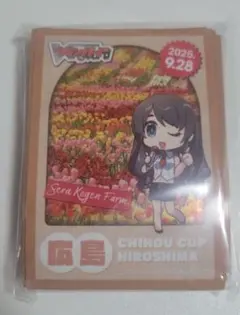 Item thumbnail for item 0c5b67ad-341a-4f20-8391-9c38b75acea6