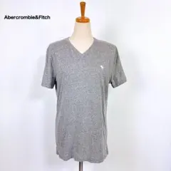 Abercrombie&Fitch アバクロ VネックTシャツ グレー S