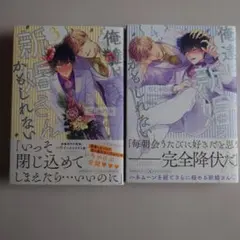 BL 俺達は新婚さんかもしれない 3·4巻セット　ちしゃの実