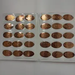 ディズニーリゾート　スーベニアメダル