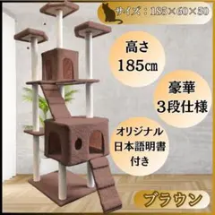 Item thumbnail for item fe6ca0f5-30ad-417e-a975-5d308eee0c36