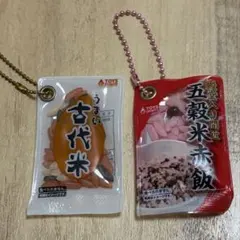 TOYS SPIRITS お米 ミニチュアキーホルダー 2種セット