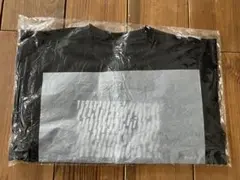 北海道マラソン 2025 Tシャツ　Lサイズ　サカナクション