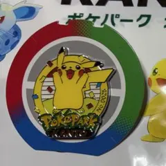 ポケパークカントー ピカチュウ ピンバッジ ピンズ No.0025 - メルカリ