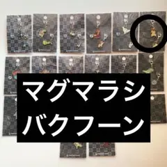 匿名配送／ポケモン／全国ずかんメタルチャーム／マグマラシ／バクフーン
