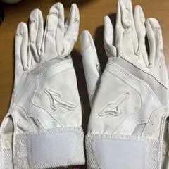 Item thumbnail for item 88779559-49b6-457a-9dfd-d547fdf251bd