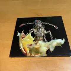 Item thumbnail for item 578c9c9a-7fab-4404-9e47-e658d81aa5f3