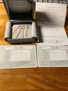STAR JEWELRY K10 ゴールド チェーンイヤリング(両耳)のサムネイル