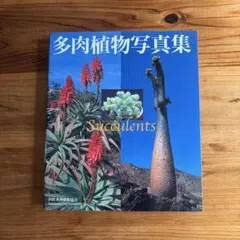 多肉植物写真集 Succulents 国際多肉植物協会