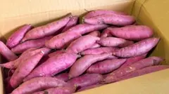 茨城県産　熟成紅はるかSサイズ5kg箱込み さつまいも　14