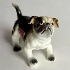 犬 イヌ ボーンチャイナ 陶器 置物 ミニチュア イングリッシュ