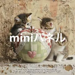 くろちゃん様 リクエスト 4点 まとめ商品