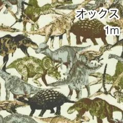 ラスト 1m ダイナソー グリーン オックス
