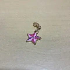 プロジェクトセカイ　小豆沢こはね　チャームコレクション　おまけで色紙付き