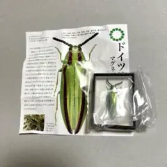 マグネット カプセルトイ