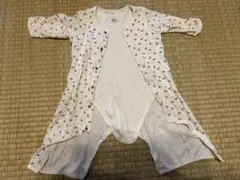 Item thumbnail for item 848a068e-e3a1-44a5-bf85-869eb9de49ce