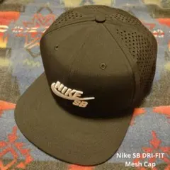 Nike SB DRI-FIT Mesh Cap