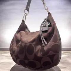 COACH シグネチャー ワンショルダー バッグ ナイロン レザー キャンバス