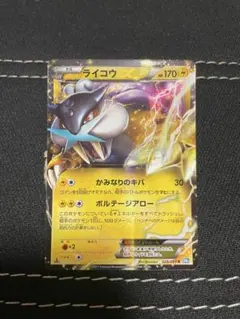 2025年最新】ライコウEXの人気アイテム - メルカリ