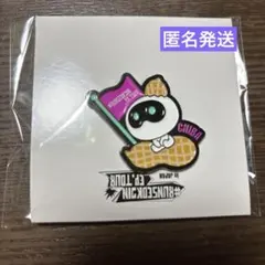 BTS ジン RUNSEOKJIN in JAPAN ピンズ　ピンバッジ　千葉