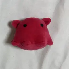 メンダコ ぬいぐるみのサムネイル