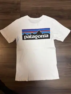 patagonia ホワイト Tシャツ XS スリムフィット