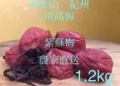 和歌山　紀州　昔ながらの紫蘇梅　梅干し　無添加　今月号のクロワッサンに掲載中のサムネイル