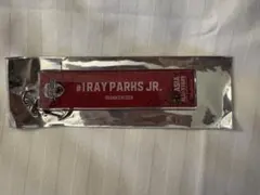 大阪エヴェッサ　レイパークスジュニア選手　Bリーグオールスター　キーホルダー