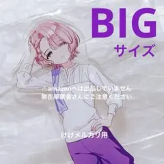藤田ことね BIGアクリルスタンド 極楽湯 オンライン限定品 未開封 学