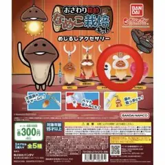 なめこ栽培キット 白うさぎなめこ めじるしアクセサリー - メルカリ