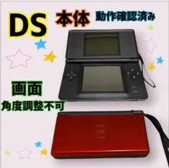 ニンテンドーDS Lite 本体 レッド 動作確認済み 角度調整不可　　訳あり