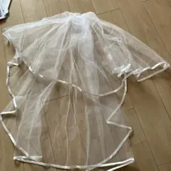 Item thumbnail for item 1feb3490-663c-4f40-b2f2-6b90ff9bcab9