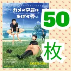 ５０ カメの甲羅はあばら骨 フライヤー