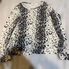 Item thumbnail for item 5fc32f90-6cb9-460f-a714-cd0d0a635227