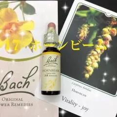 17.バッチフラワーレメディ ホーンビーム フラワーエッセンス 正規品 やる気