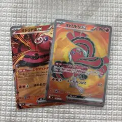 オドリドリex 2枚セット
