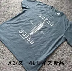 メンズ ドライ接触冷感ロゴプリント半袖Tシャツサックス4L新品