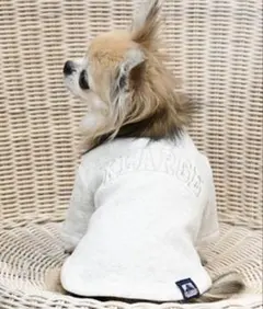 xlarge エクストララージ　フリース犬服 長袖 ロゴ入り　3L