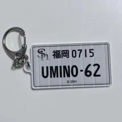 福岡ソフトバンクホークス 海野隆司 鷹祭 ナンバープレート風 キーホルダー