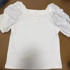 マジェスティックレゴン　トップス