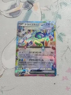 テラパゴスEX　230